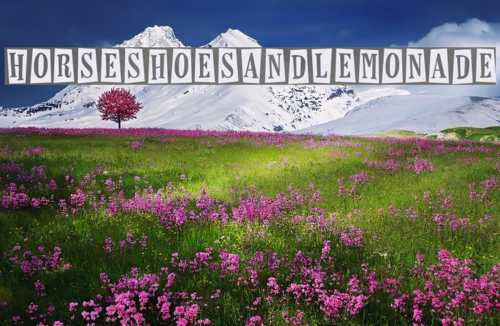 HorseshoesAndLemonade Font examples