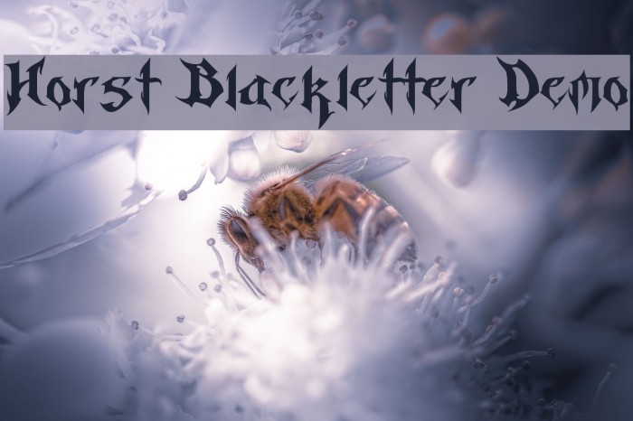 Horst Blackletter Demo Font examples