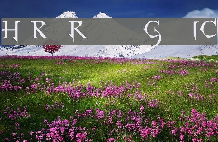Horst Roman Gothic Font examples