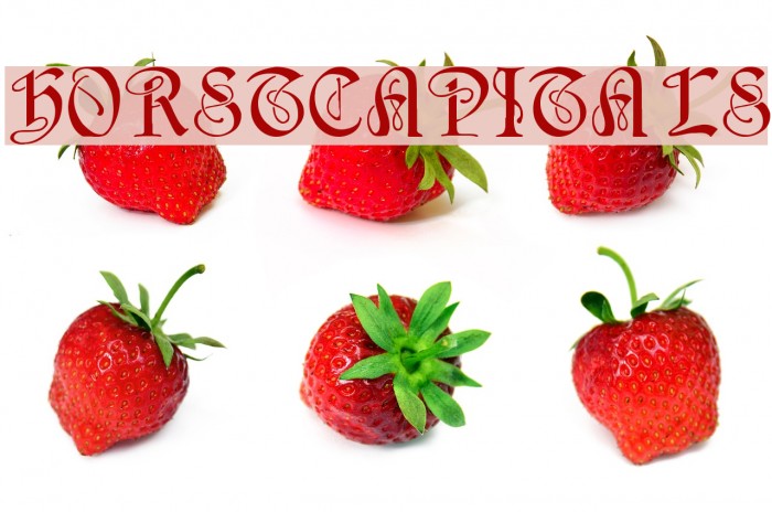 HorstCapitals Шрифта examples