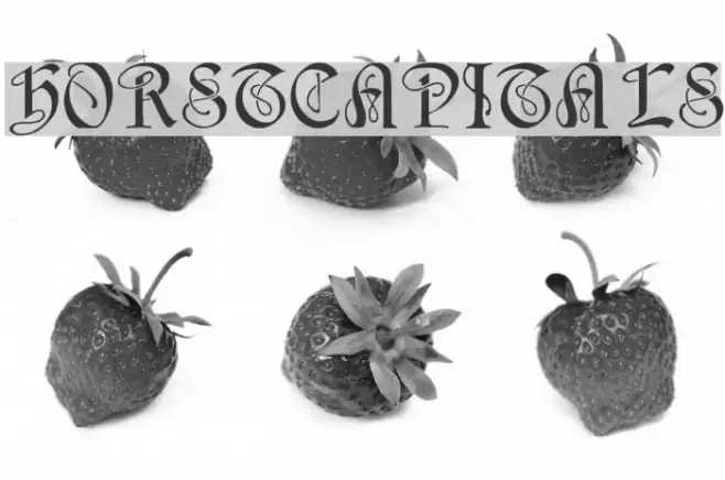 HorstCapitals Fonte examples