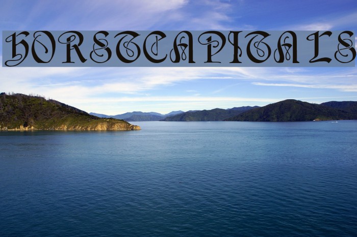 HorstCapitals Шрифта examples