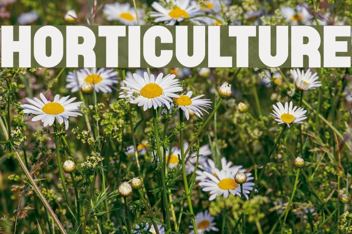 Horticulture Font examples