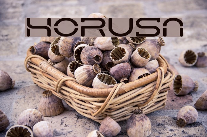 HorusN Font examples