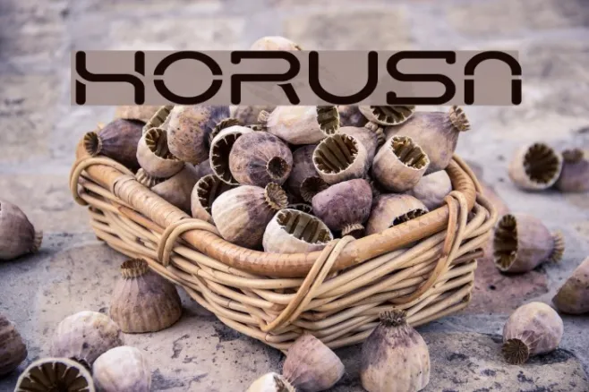 HorusN Example 3
