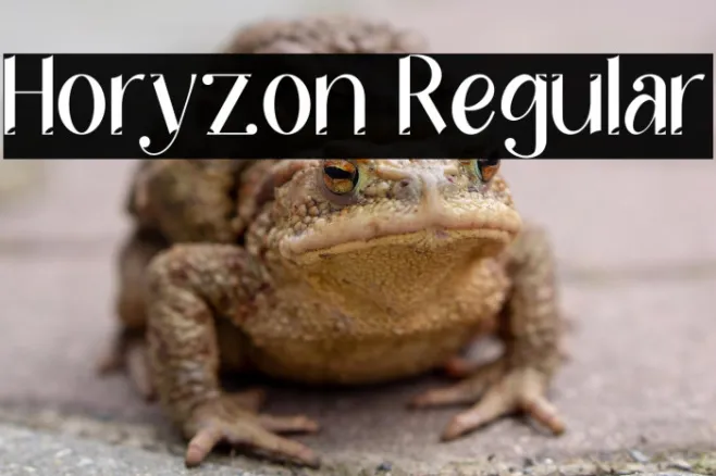 Horyzon Regular Example 3