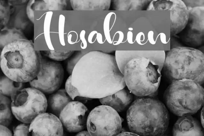 Hosabien Font examples