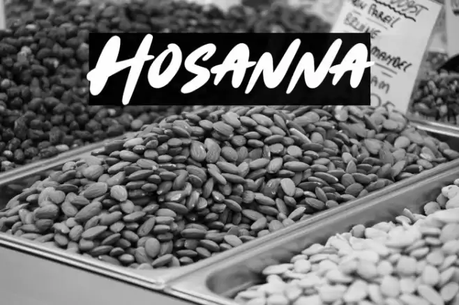 Hosanna Fonte examples