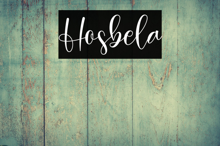 Hosbela Example 1