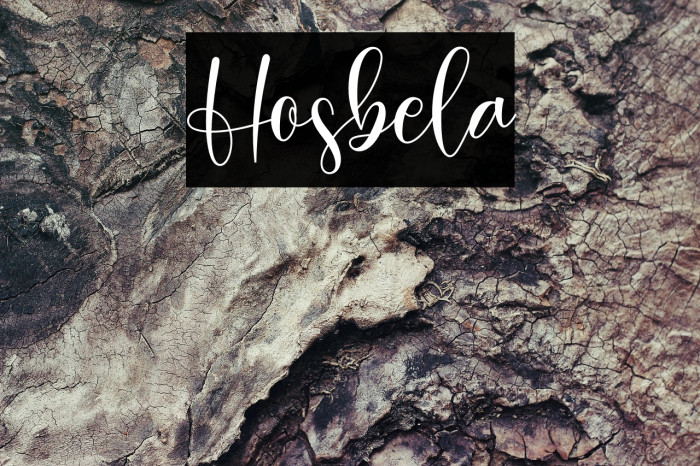Hosbela Example 2