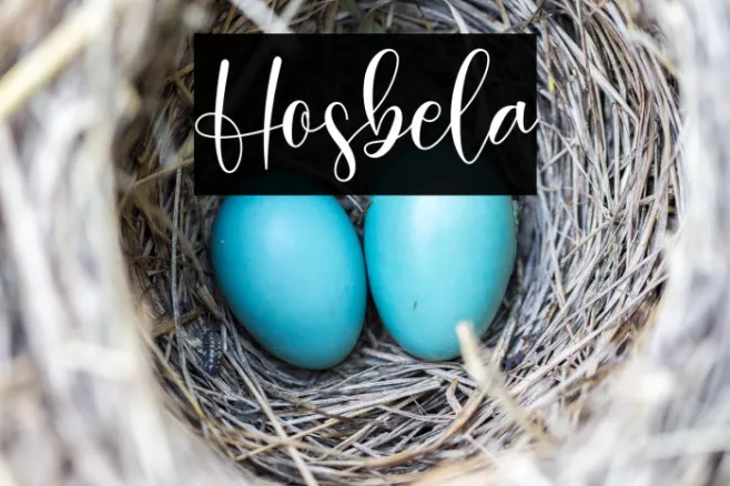 Hosbela Example 3