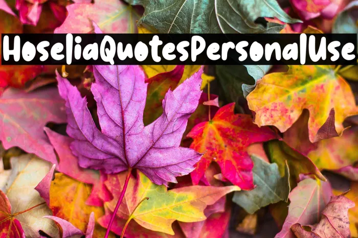Hoselia Quotes Personal Use Example 1