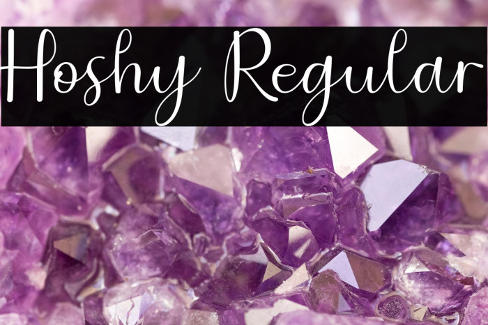 Hoshy Regular Example 1