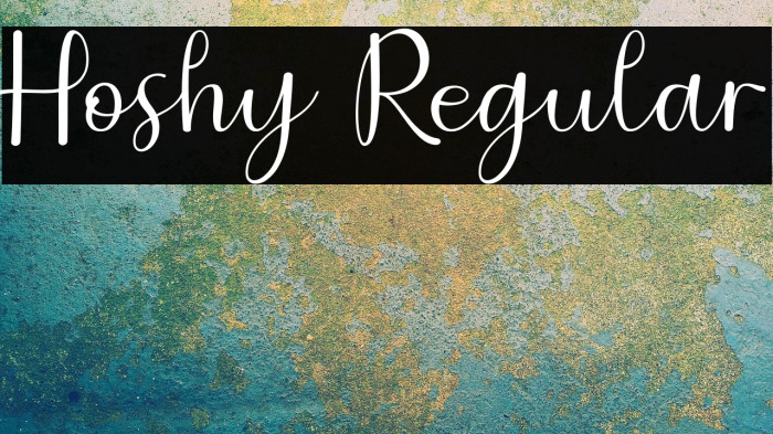 Hoshy Regular Example 2