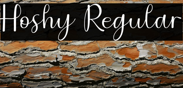 Hoshy Regular Example 3