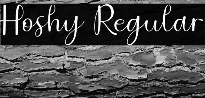 Hoshy Regular Fuentes examples