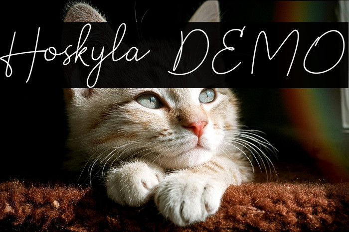 Hoskyla DEMO Example 2