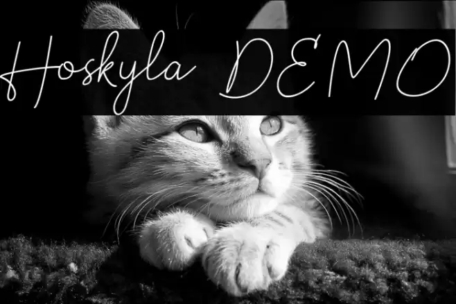 Hoskyla DEMO Font examples
