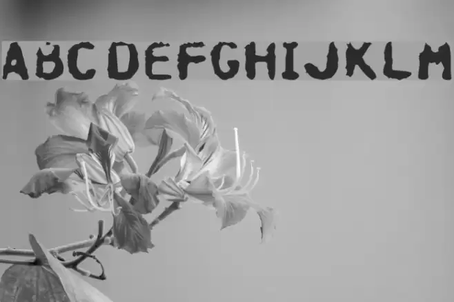 Hospital Font examples