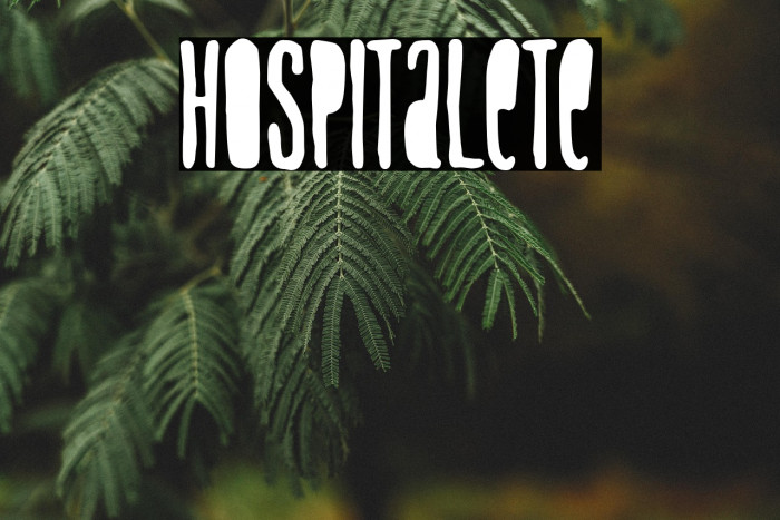 Hospitalete Example 1