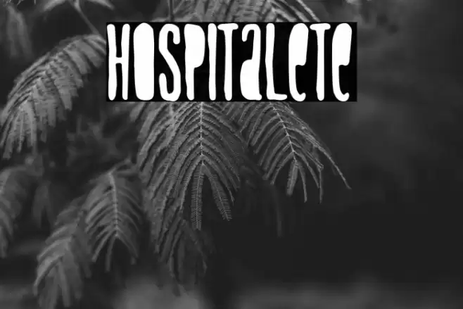 Hospitalete Font examples