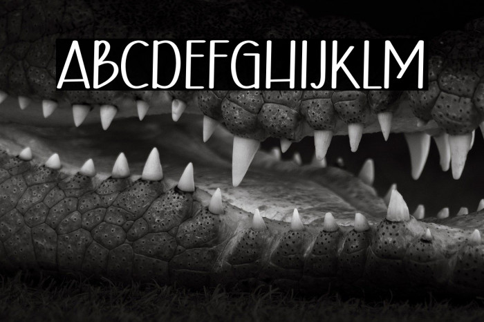 Host Christmas Example 1