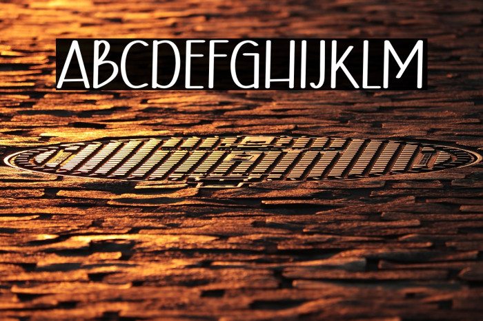 Host Christmas Example 2