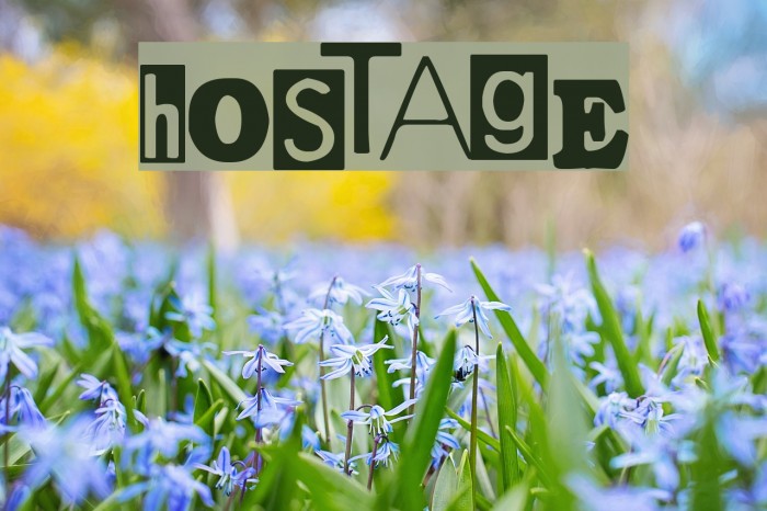 Hostage Font examples