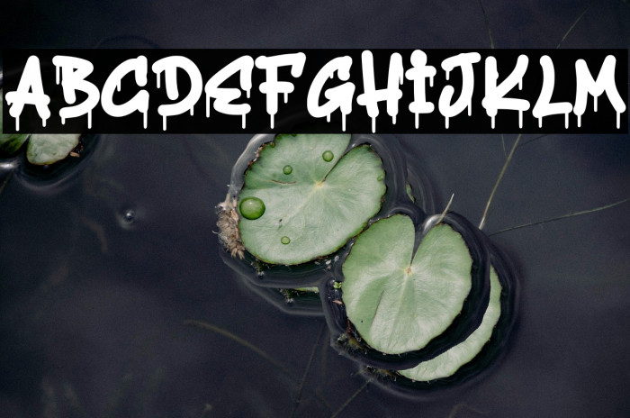 Hosters Personal Use Example 2