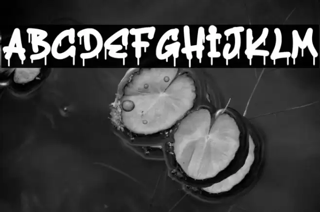 Hosters Personal Use Font examples