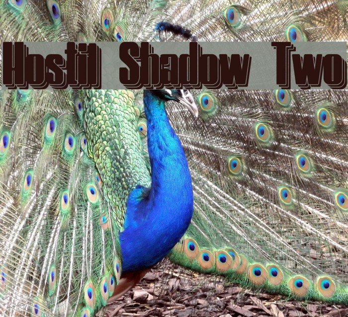 Hostil Shadow Two Font examples