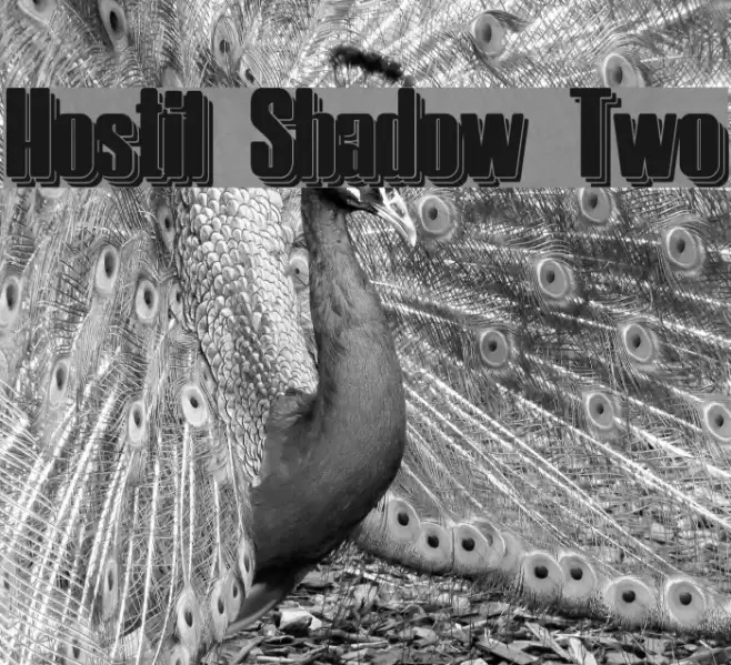 Hostil Shadow Two Font examples