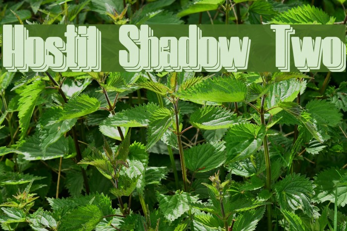 Hostil Shadow Two Font examples