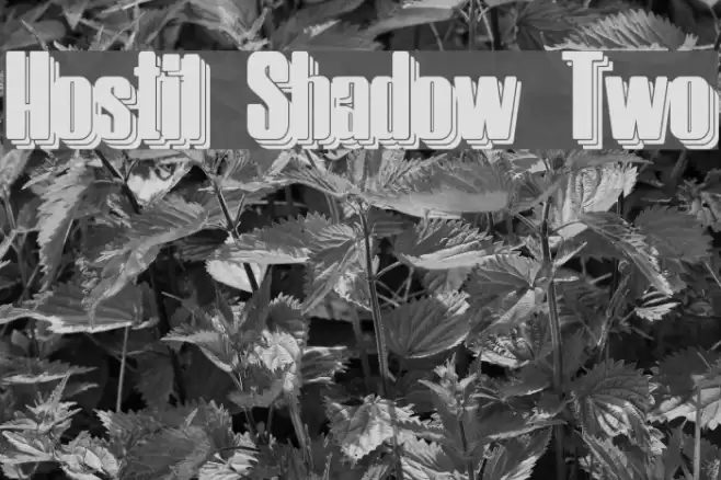 Hostil Shadow Two Font examples