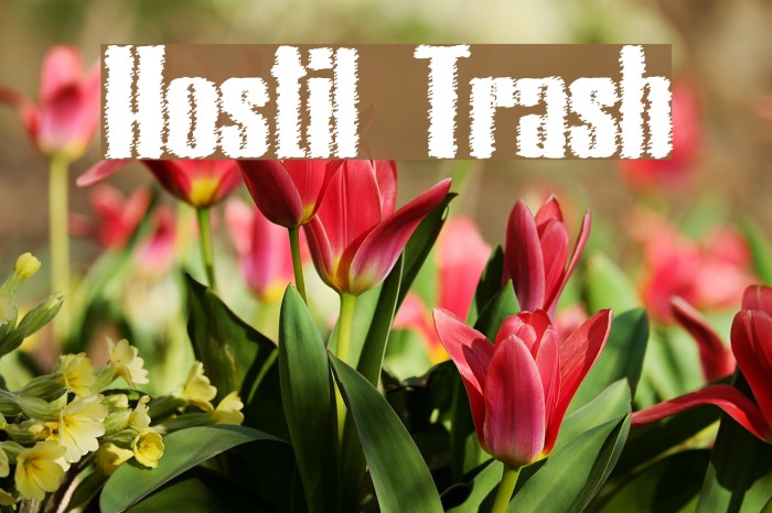 Hostil Trash Font examples