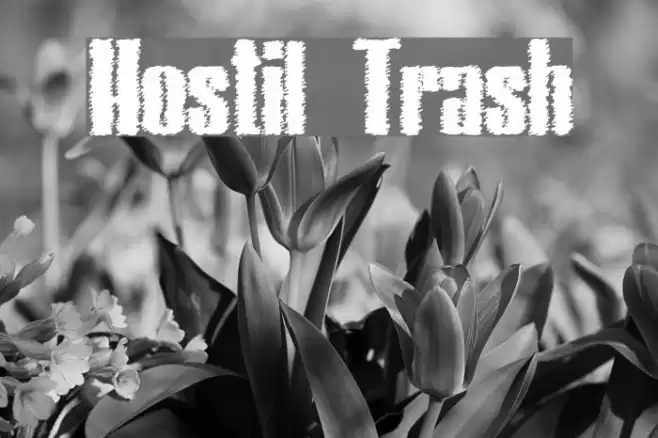 Hostil Trash Font examples