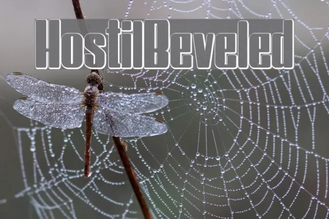HostilBeveled Example 1