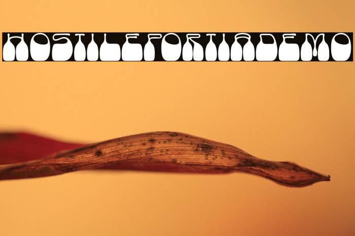 HostilePortiaDemo Example 3