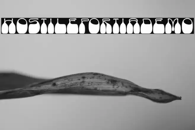 HostilePortiaDemo Шрифта examples