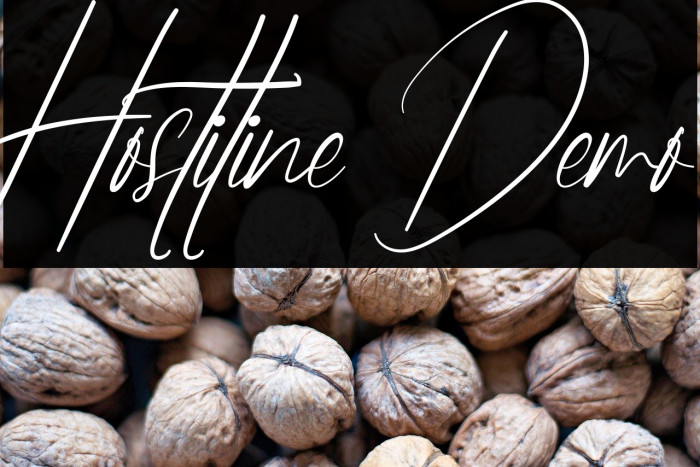 Hostiline Demo Example 2