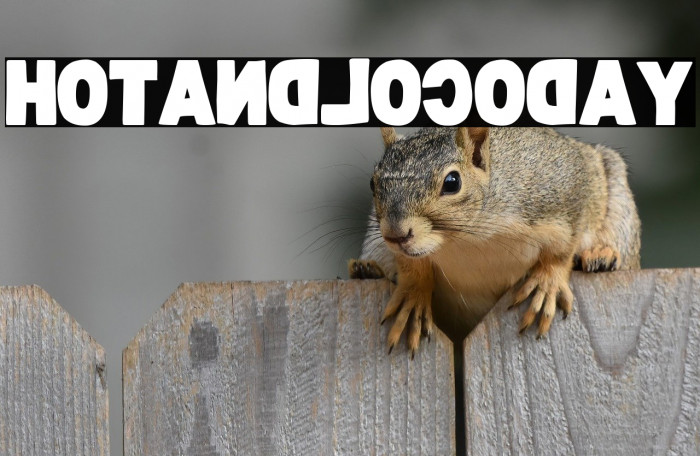 Hot And Loco Day Example 1