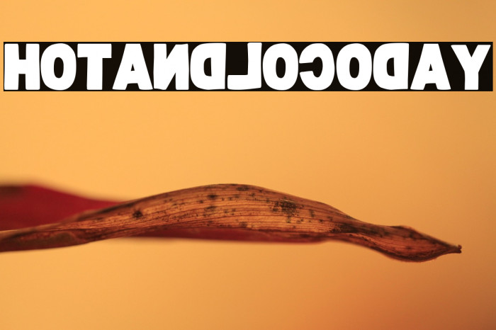 Hot And Loco Day Example 3