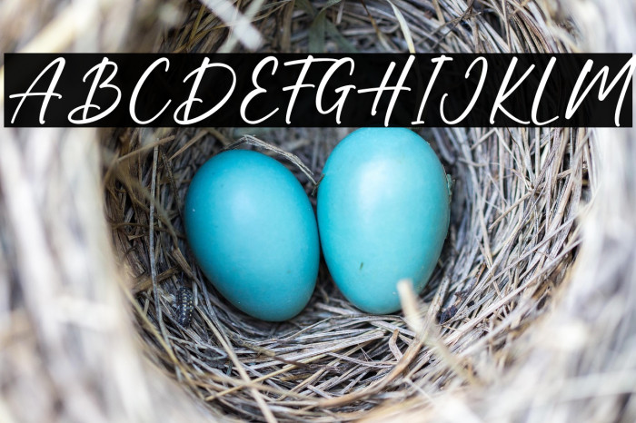 Hot Chocolate Example 1