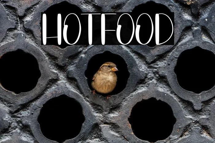 Hot Food Example 2