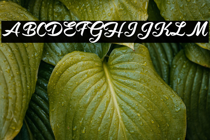 Hot Jacket Perrsonal Use Regular Example 1