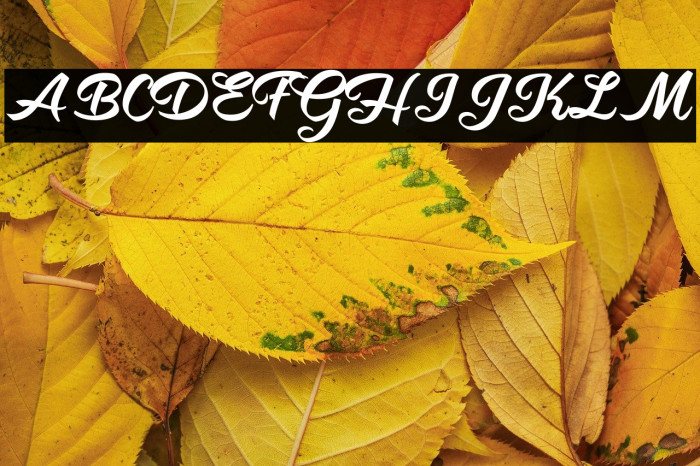 Hot Jacket Perrsonal Use Regular Example 2