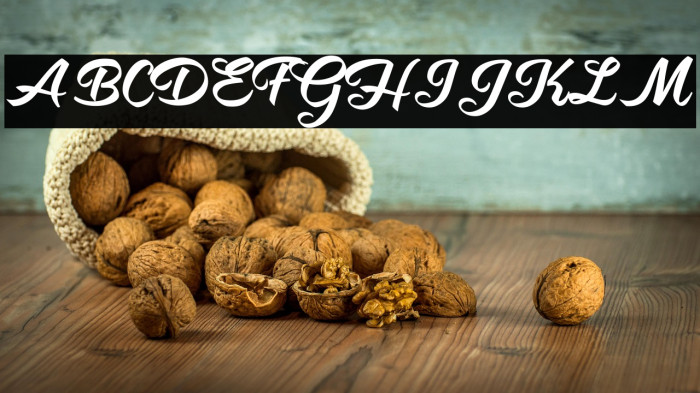 Hot Jacket Perrsonal Use Regular Example 3