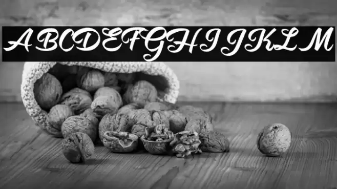 Hot Jacket Perrsonal Use Regular Font examples