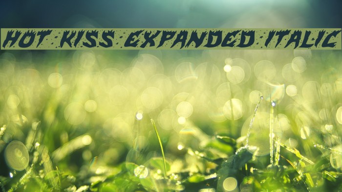 Hot Kiss Expanded Italic Example 1