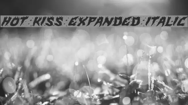 Hot Kiss Expanded Italic Font examples